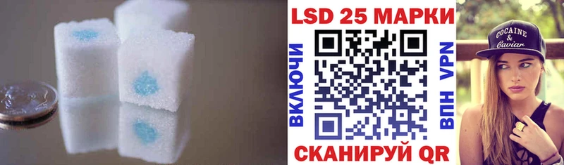 продажа наркотиков  блэк спрут рабочий сайт  ЛСД экстази ecstasy  Канаш 