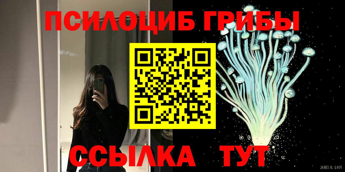 Канаш  Галлюциногенные грибы мицелий  закладки  Вход с VPN 